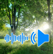 Morning city sounds 001 download on cg.market