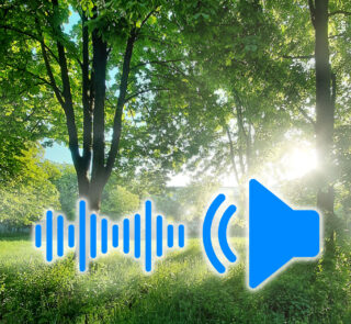 Morning city sounds 001 download on cg.market