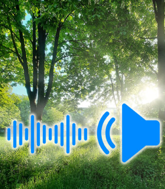 Morning city sounds 001 download on cg.market