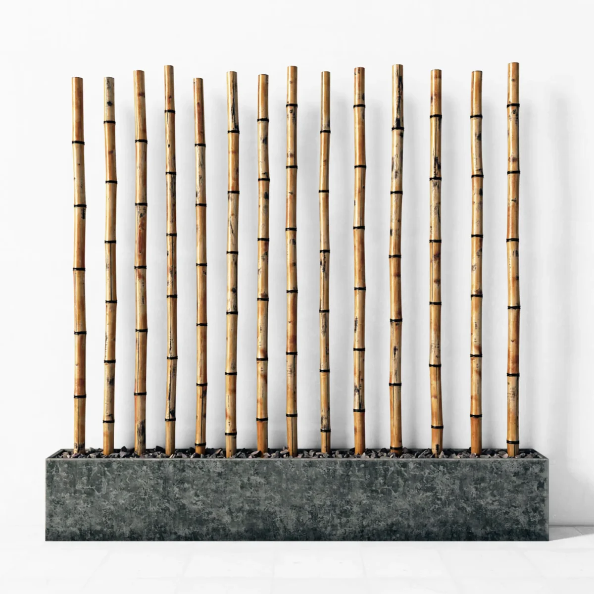 Bamboo decor fundament concrete 3D model download on cg.market 3ds max,V-Ray