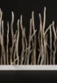 Planter wall branch crooked old N1 3D model download on cg.market 3ds max, V-Ray